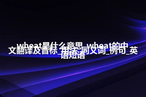 wheat是什么意思_wheat的中文翻译及音标_用法_同义词_例句_英语短语