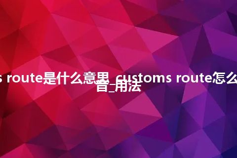 customs route是什么意思_customs route怎么翻译及发音_用法