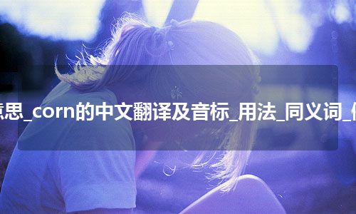 corn是什么意思_corn的中文翻译及音标_用法_同义词_例句_英语短语