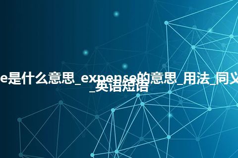 expense是什么意思_expense的意思_用法_同义词_例句_英语短语