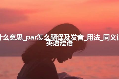 par是什么意思_par怎么翻译及发音_用法_同义词_例句_英语短语