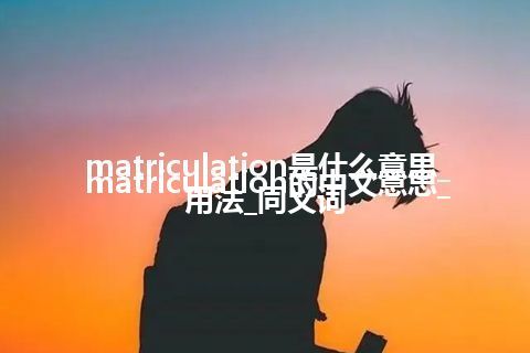 matriculation是什么意思_matriculation的中文意思_用法_同义词