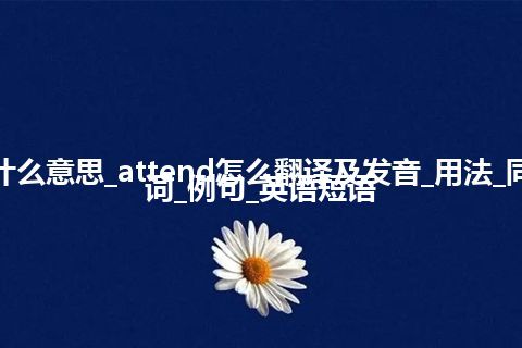 attend是什么意思_attend怎么翻译及发音_用法_同义词_反义词_例句_英语短语