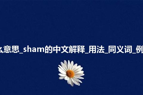 sham是什么意思_sham的中文解释_用法_同义词_例句_英语短语