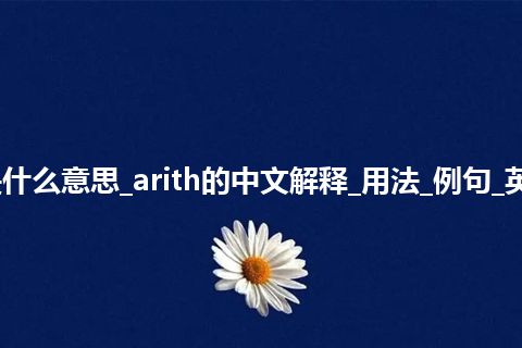 arith是什么意思_arith的中文解释_用法_例句_英语短语