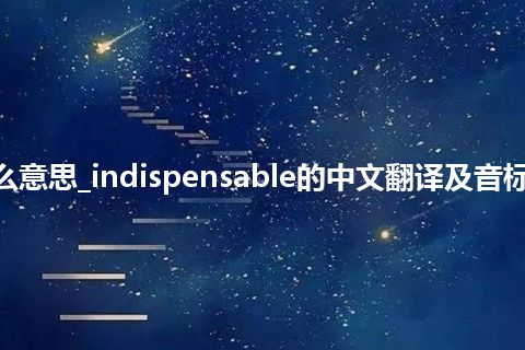 indispensable是什么意思_indispensable的中文翻译及音标_用法_同义词_反义词