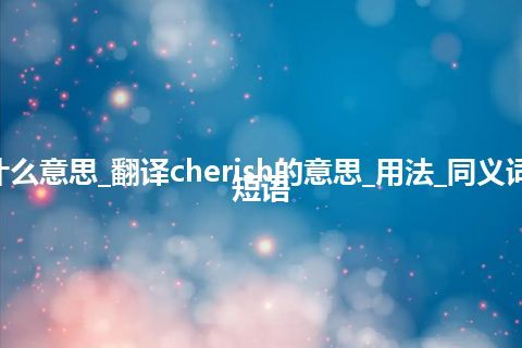 cherish是什么意思_翻译cherish的意思_用法_同义词_例句_英语短语