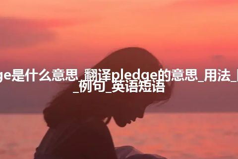 pledge是什么意思_翻译pledge的意思_用法_同义词_例句_英语短语