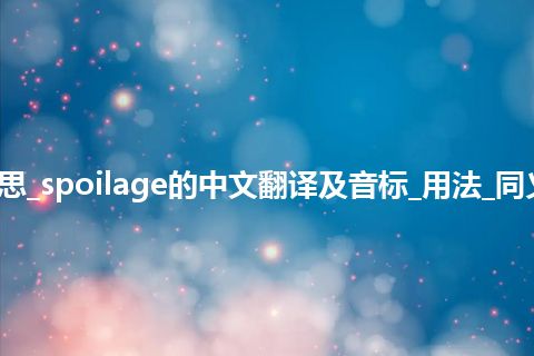 spoilage是什么意思_spoilage的中文翻译及音标_用法_同义词_例句_英语短语