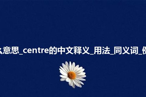 centre是什么意思_centre的中文释义_用法_同义词_例句_英语短语