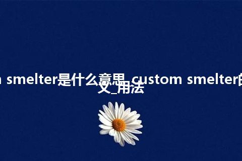 custom smelter是什么意思_custom smelter的中文释义_用法