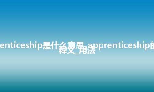 apprenticeship是什么意思_apprenticeship的中文释义_用法