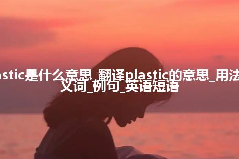 plastic是什么意思_翻译plastic的意思_用法_同义词_例句_英语短语