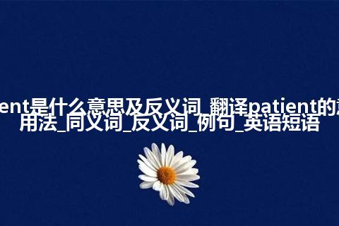 patient是什么意思及反义词_翻译patient的意思_用法_同义词_反义词_例句_英语短语