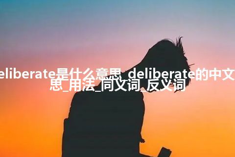 deliberate是什么意思_deliberate的中文意思_用法_同义词_反义词