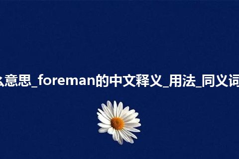 foreman是什么意思_foreman的中文释义_用法_同义词_例句_英语短语