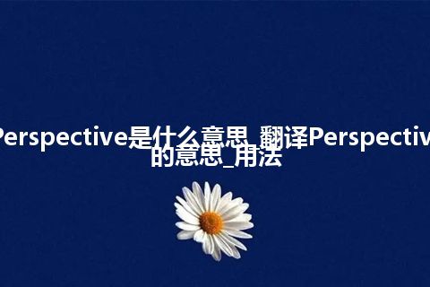 Perspective是什么意思_翻译Perspective的意思_用法