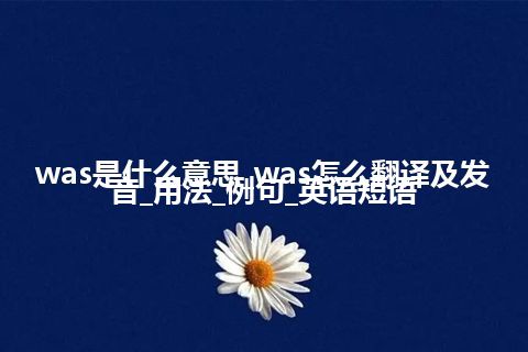 was是什么意思_was怎么翻译及发音_用法_例句_英语短语