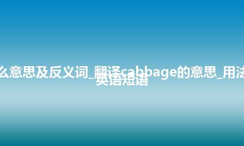 cabbage是什么意思及反义词_翻译cabbage的意思_用法_同义词_例句_英语短语