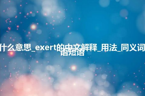 exert是什么意思_exert的中文解释_用法_同义词_例句_英语短语