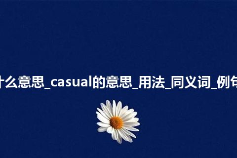 casual是什么意思_casual的意思_用法_同义词_例句_英语短语