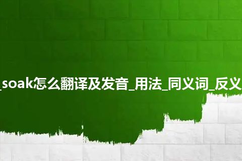 soak是什么意思_soak怎么翻译及发音_用法_同义词_反义词_例句_英语短语