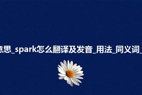 spark是什么意思_spark怎么翻译及发音_用法_同义词_例句_英语短语