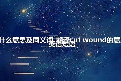 cut wound什么意思及同义词_翻译cut wound的意思_用法_例句_英语短语