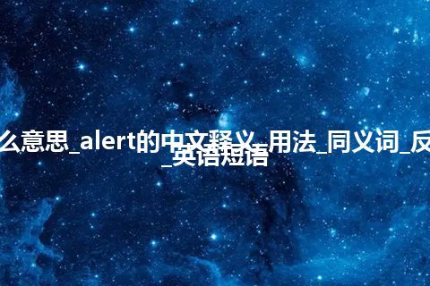 alert是什么意思_alert的中文释义_用法_同义词_反义词_例句_英语短语