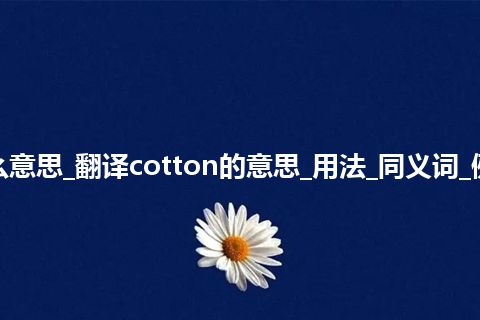 cotton是什么意思_翻译cotton的意思_用法_同义词_例句_英语短语