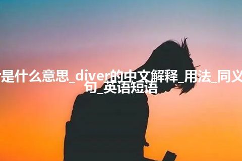 diver是什么意思_diver的中文解释_用法_同义词_例句_英语短语