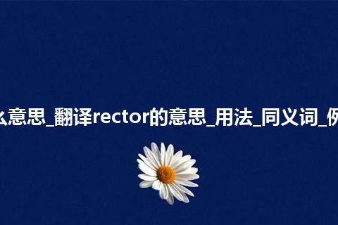 rector是什么意思_翻译rector的意思_用法_同义词_例句_英语短语