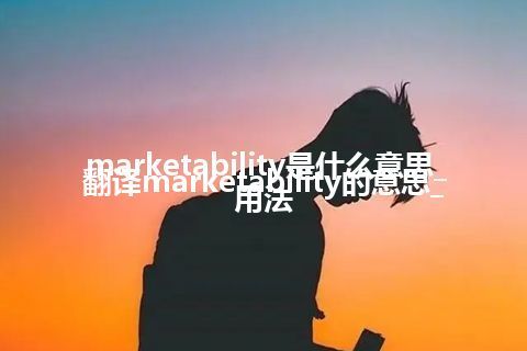 marketability是什么意思_翻译marketability的意思_用法