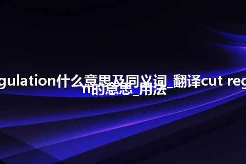 cut regulation什么意思及同义词_翻译cut regulation的意思_用法