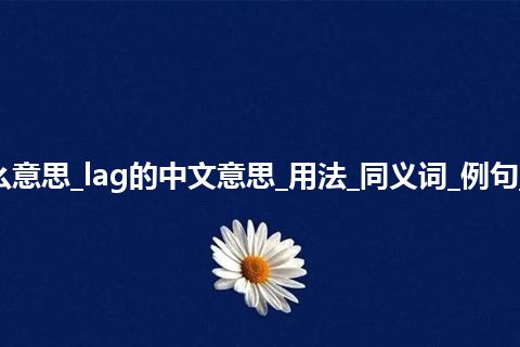 lag是什么意思_lag的中文意思_用法_同义词_例句_英语短语