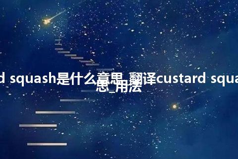 custard squash是什么意思_翻译custard squash的意思_用法