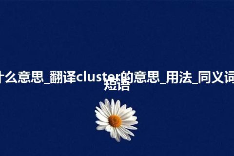 cluster是什么意思_翻译cluster的意思_用法_同义词_例句_英语短语