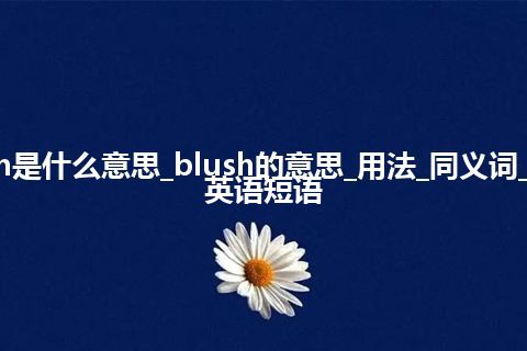 blush是什么意思_blush的意思_用法_同义词_例句_英语短语