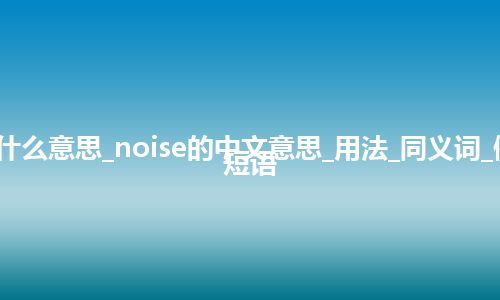 noise是什么意思_noise的中文意思_用法_同义词_例句_英语短语