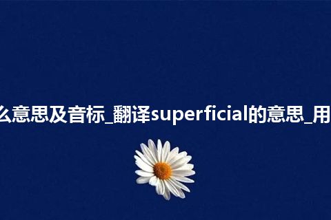 superficial是什么意思及音标_翻译superficial的意思_用法_同义词_反义词