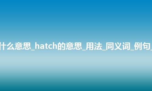 hatch是什么意思_hatch的意思_用法_同义词_例句_英语短语