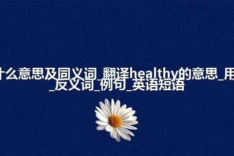 healthy什么意思及同义词_翻译healthy的意思_用法_同义词_反义词_例句_英语短语