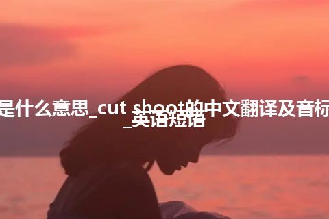 cut shoot是什么意思_cut shoot的中文翻译及音标_用法_例句_英语短语