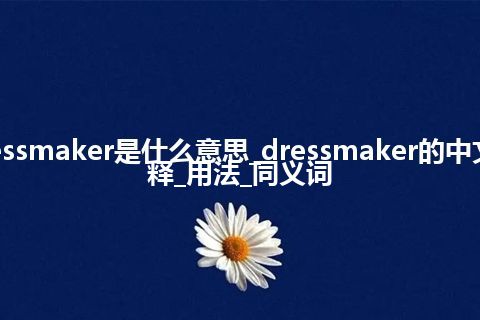 dressmaker是什么意思_dressmaker的中文解释_用法_同义词