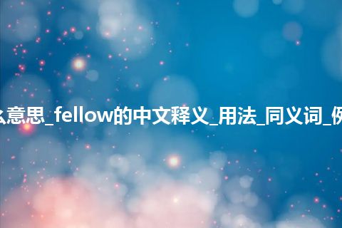 fellow是什么意思_fellow的中文释义_用法_同义词_例句_英语短语