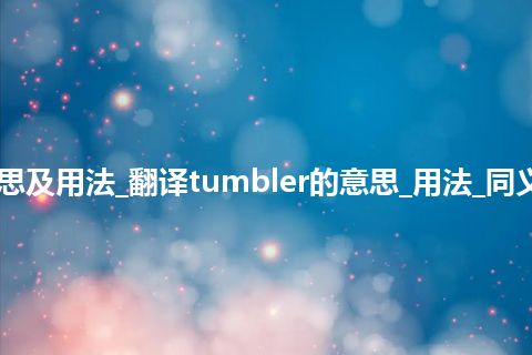 tumbler是什么意思及用法_翻译tumbler的意思_用法_同义词_例句_英语短语