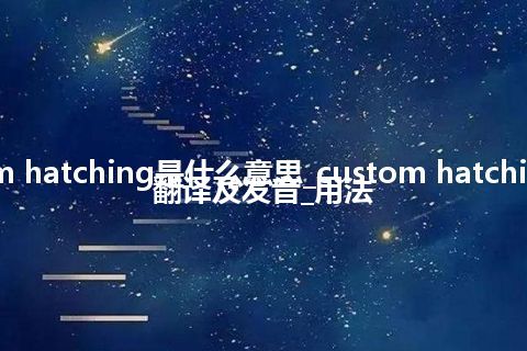 custom hatching是什么意思_custom hatching怎么翻译及发音_用法