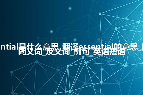 essential是什么意思_翻译essential的意思_用法_同义词_反义词_例句_英语短语