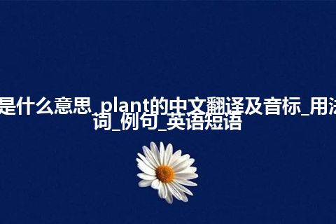 plant是什么意思_plant的中文翻译及音标_用法_同义词_例句_英语短语