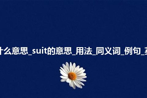 suit是什么意思_suit的意思_用法_同义词_例句_英语短语